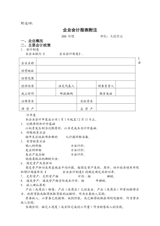 审计报告附注(中小型)
