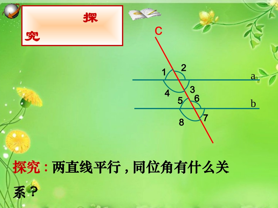 平行线的性质 (2)_第3页