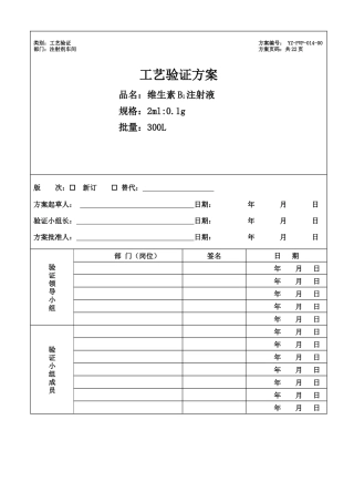2ml01g维生素B1注射液工艺验证方案