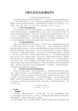 审计定性及处理处罚依据( 49)