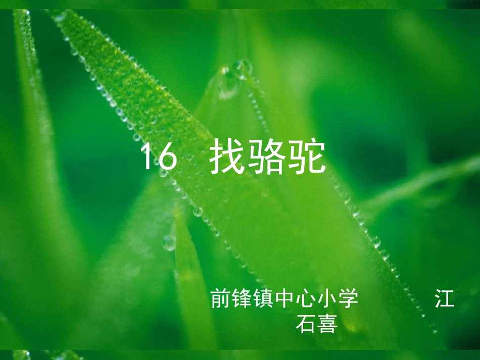 《找骆驼》课件[1](1)_第1页