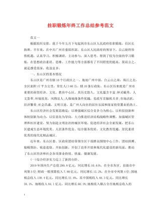 挂职锻炼年终工作总结参考范文