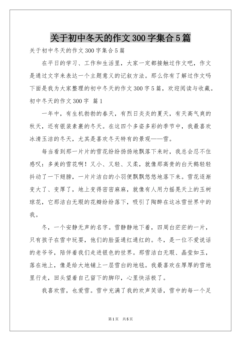关于初中冬天的作文300字集合5篇_第1页