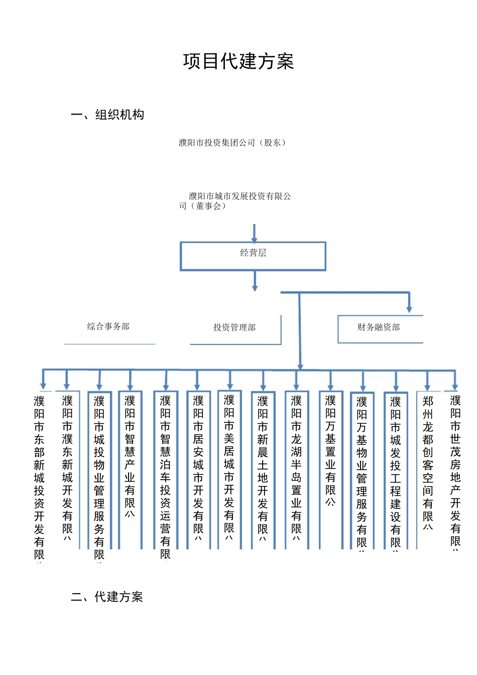 项目代建方案_第1页