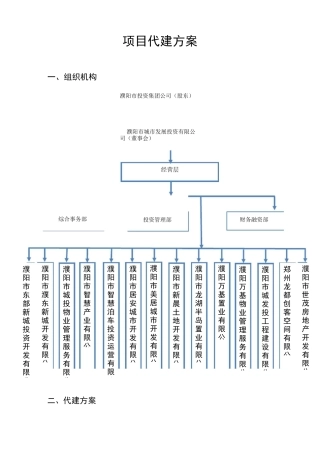 项目代建方案