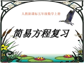《简易方程复习》PPT课件
