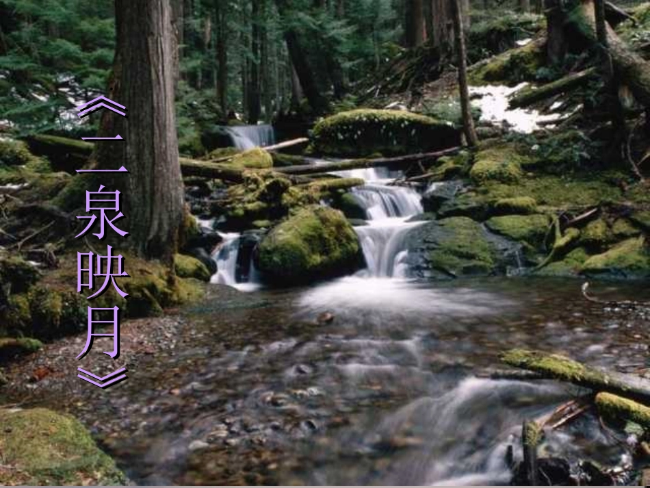 八年级下《阿炳在1950》语文版_第2页