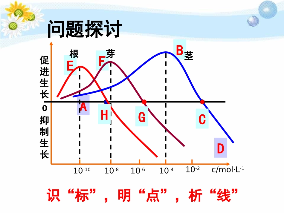 生长素的生理作用_第2页