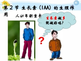生长素的生理作用