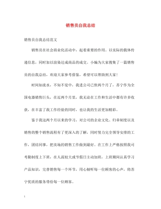 销售员自我总结