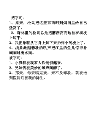 把字句和被字句