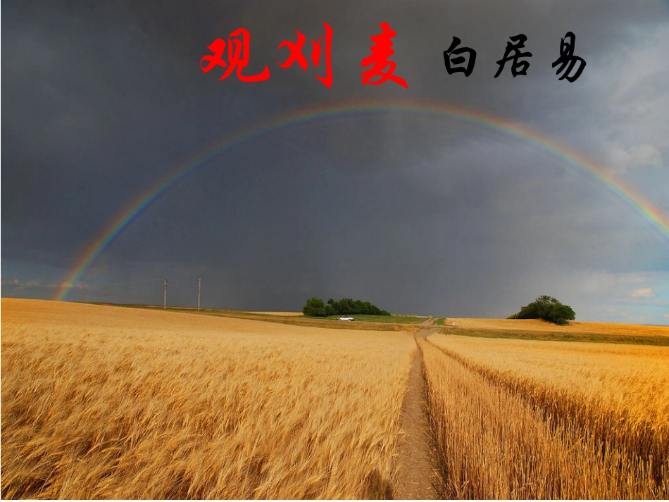 观刈麦 (2)_第2页