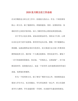 见习班主任工作总结