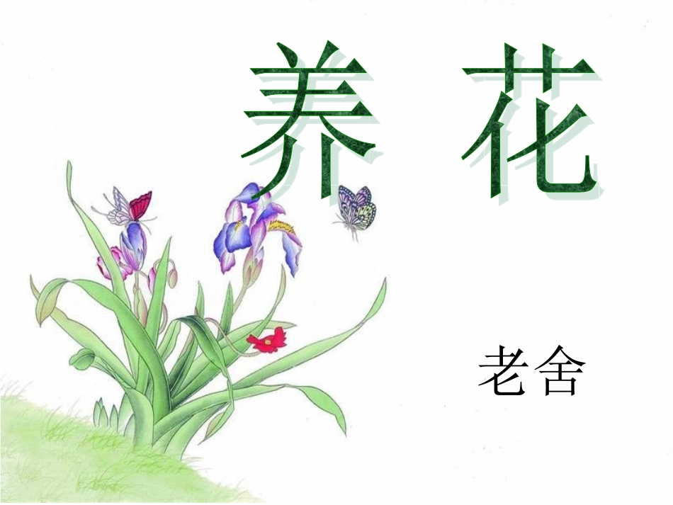 《养花》PPT_第1页
