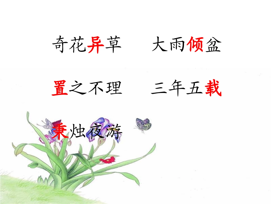 《养花》PPT_第3页