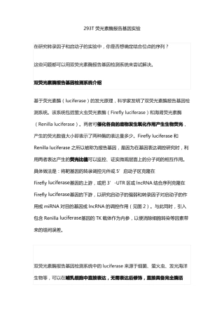293T荧光素酶报告基因试验