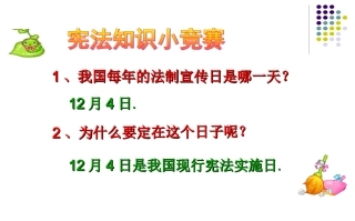 人教新课标版初中九年级362宪法是国家的根本大法课件7