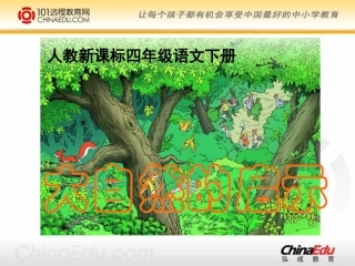 《大自然的启示》课件