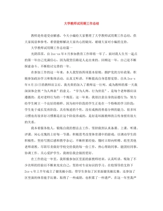 大学教师试用期工作总结