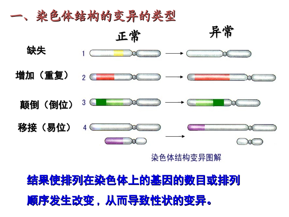 专题52染色体变异（课件）-2014-2015学年人教版高一生物同步精品课堂（提升版）（必修2共20张PPT）_第3页