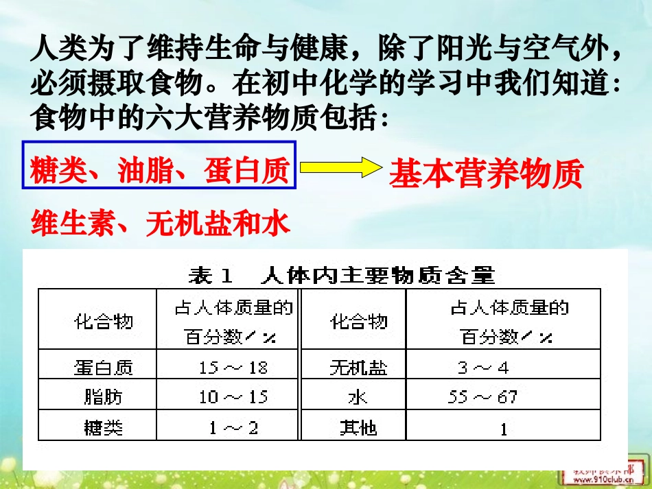 基本营养物质_第2页