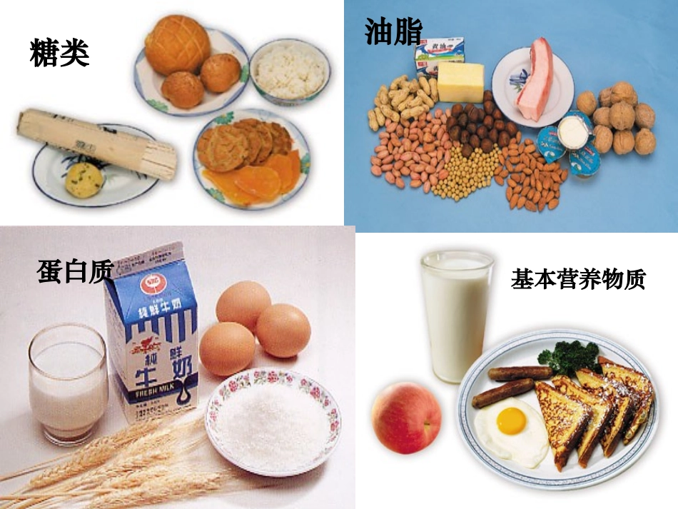 基本营养物质_第3页