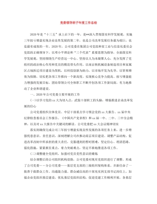 党委领导班子年度工作总结2