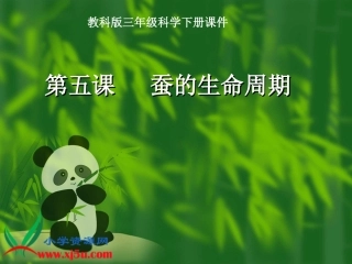 -蚕的生命周期准