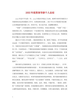 底资深导游个人总结