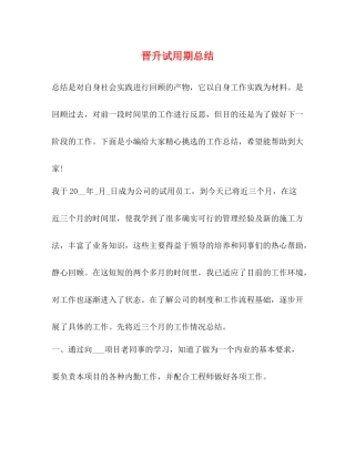 晋升试用期总结