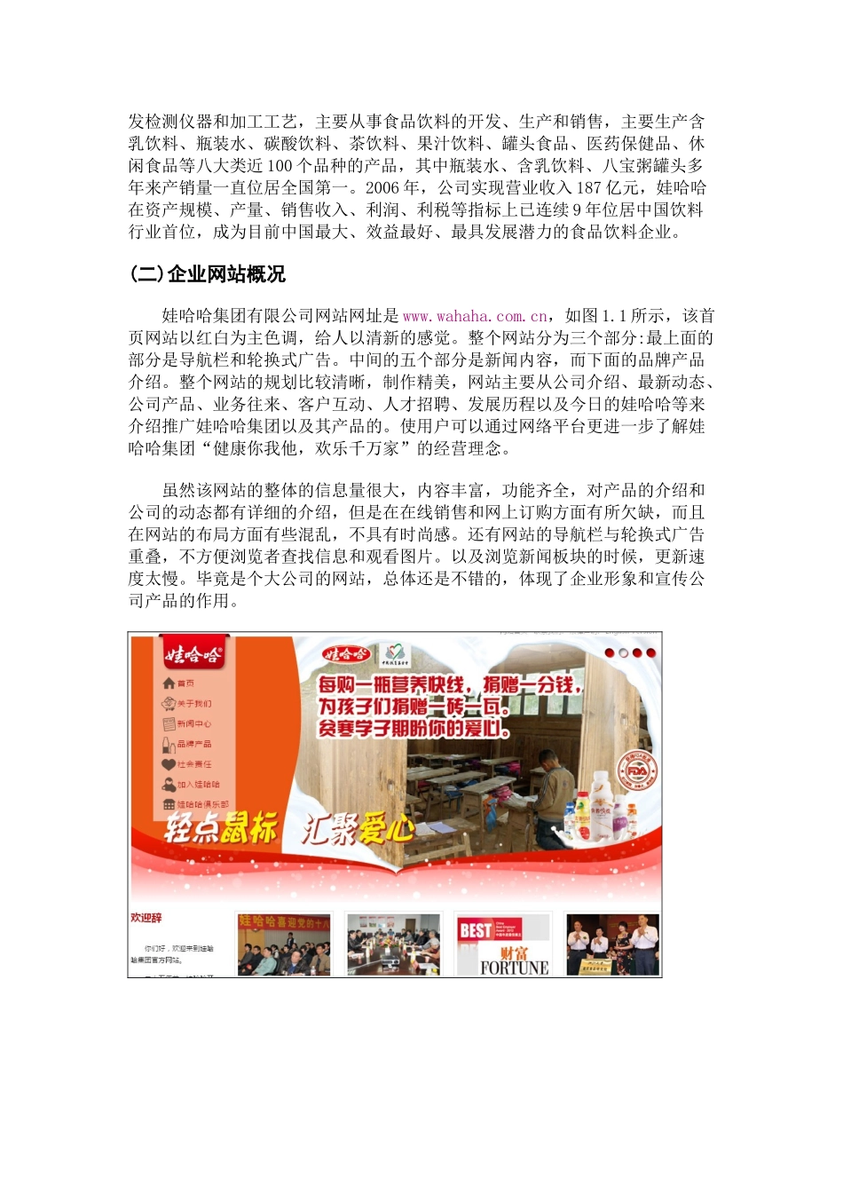 娃哈哈集团网站分析诊断报告_第2页