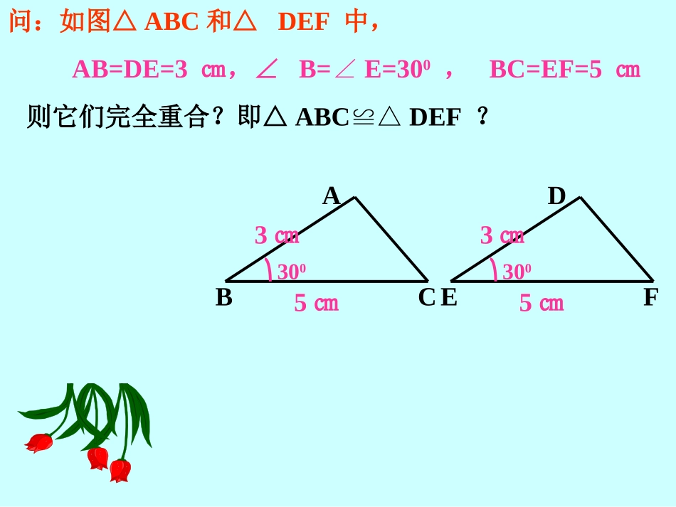 三角形全等的条件SAS()_第3页