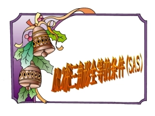 三角形全等的条件SAS()