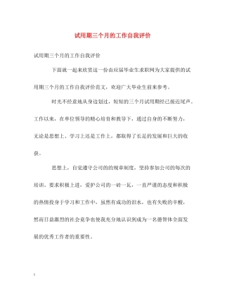 试用期三个月的工作自我评价