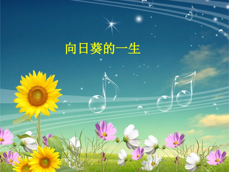 向日葵的一生_第1页