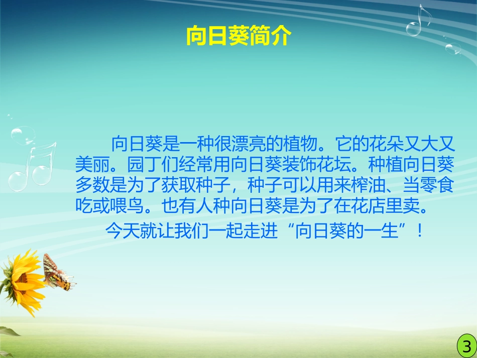 向日葵的一生_第2页