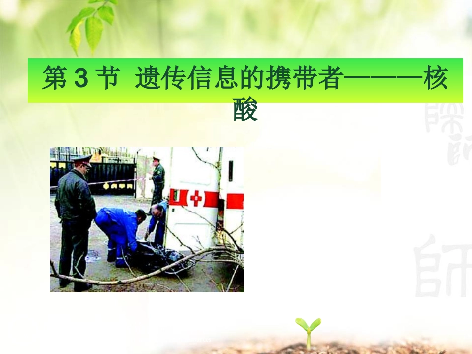 第二章第3节遗传信息的携带者---核酸1_第3页