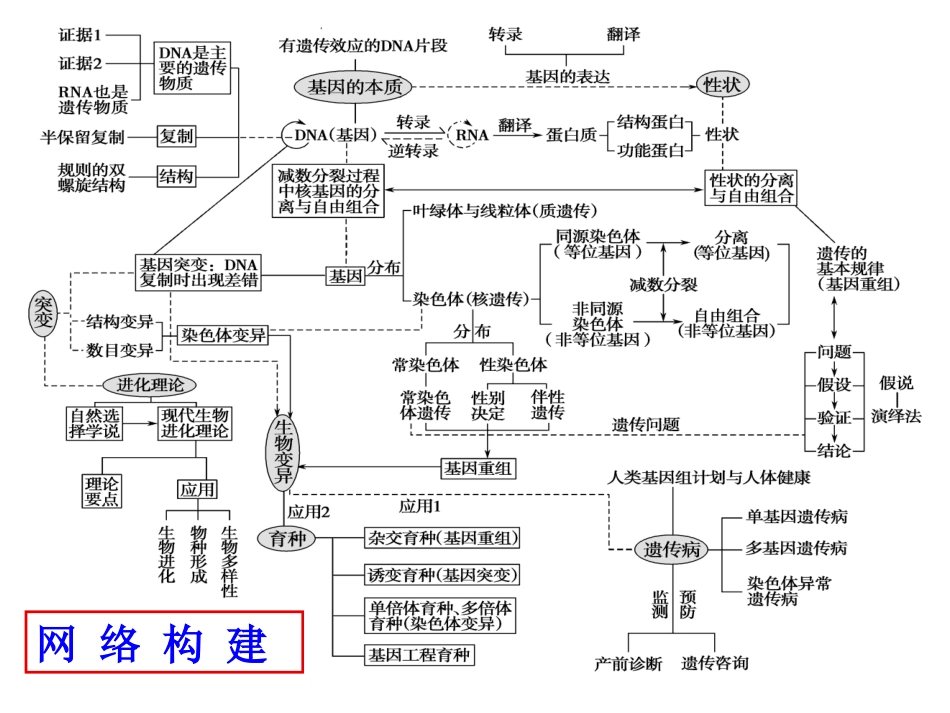 二轮复习课件：遗传（来高生物）_第3页