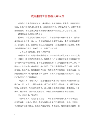 试用期的工作总结公司人员