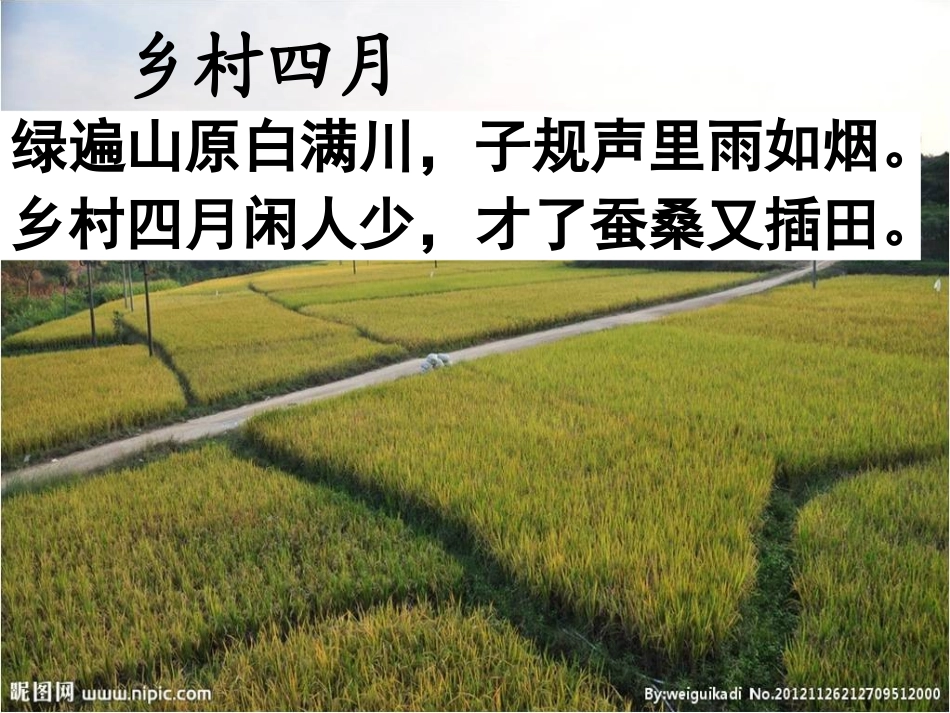 乡下人家guo_第1页