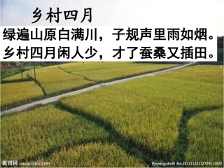 乡下人家guo