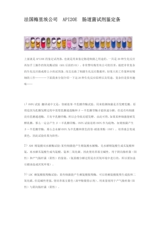 API20E肠道菌试剂鉴定条详解