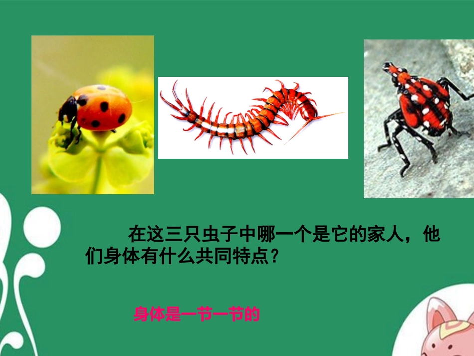 吴漾4《节节虫》课件_第2页