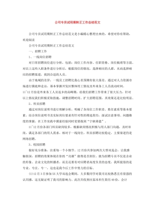 公司专员试用期转正工作总结范文