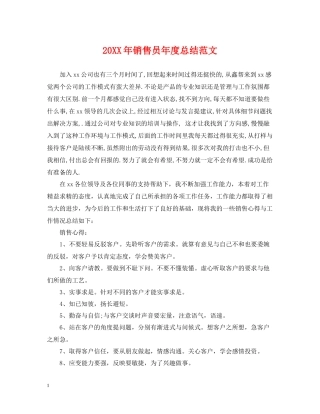 销售员年度总结范文