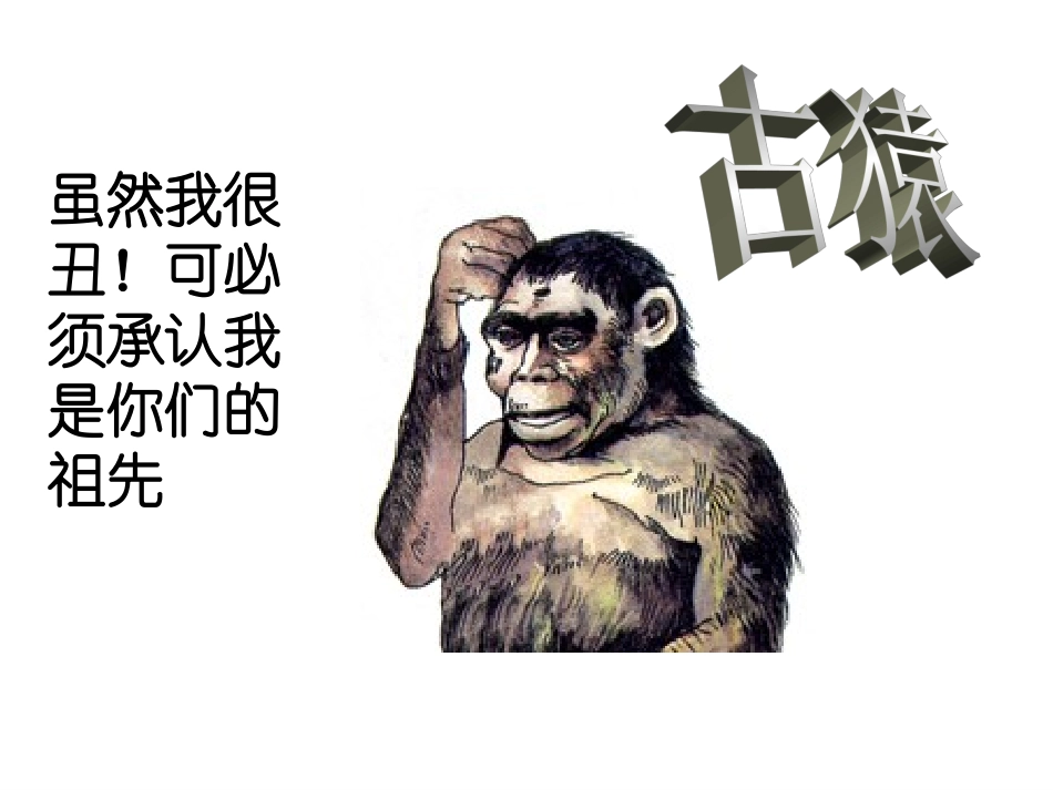 九年级世界历史(上册)第一、二单元复习_第3页