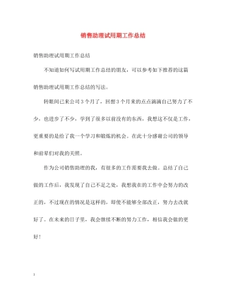 销售助理试用期工作总结