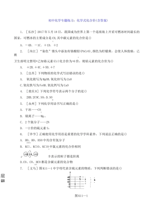 初中化学专题练习：化学式 化合价(含答案) 