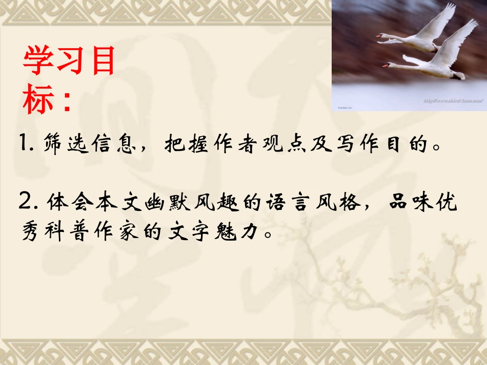 作为生物的社会shangke_第3页