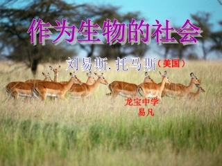 作为生物的社会shangke